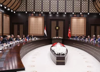 Cairo, Ankara eyeing more economic, investment, trade, defence co-operation