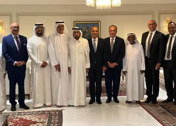 FM: Egypt seeking to attract more investments