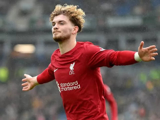 Harvey Elliott's injury a bit of bad news in Liverpool's perfect start 2 - Egyptian Gazette Harvey Elliott's injury a bit of bad news in Liverpool's perfect start 1 - Egyptian Gazette