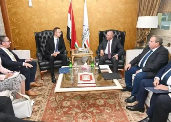 Industry minister: Egypt always seeks to up joint co-operation with Hungary on all fronts