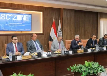 SCZONE chief: Co-operation with development partners key for expediting green foil production