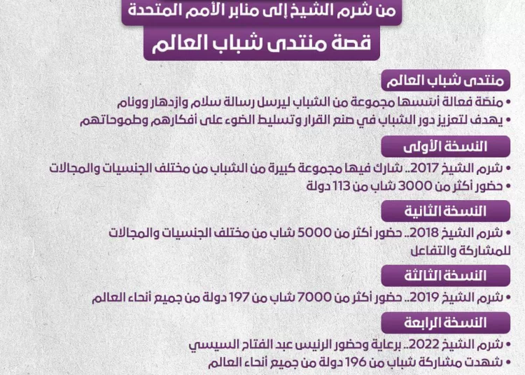 WYF Participates"Future Summit" in New York to Elevate Youth Voices on Global Issues 1 - Egyptian Gazette