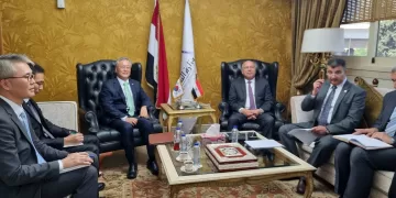 Cairo, Seoul discuss ways to expand co-operation in transport, industry