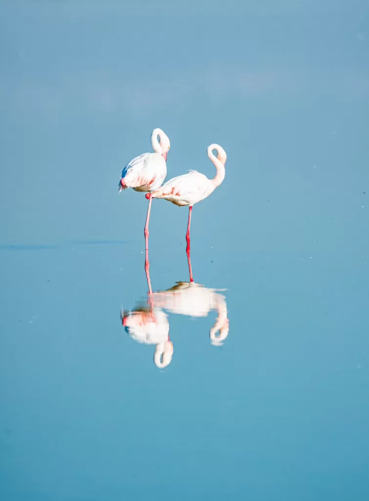 Celebrating World Photography Day 2024: An African snapshot through Canon’s lens 7 - Egyptian Gazette