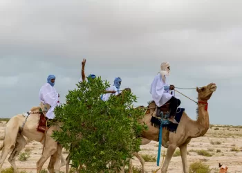 Celebrating World Photography Day 2024: An African snapshot through Canon’s lens