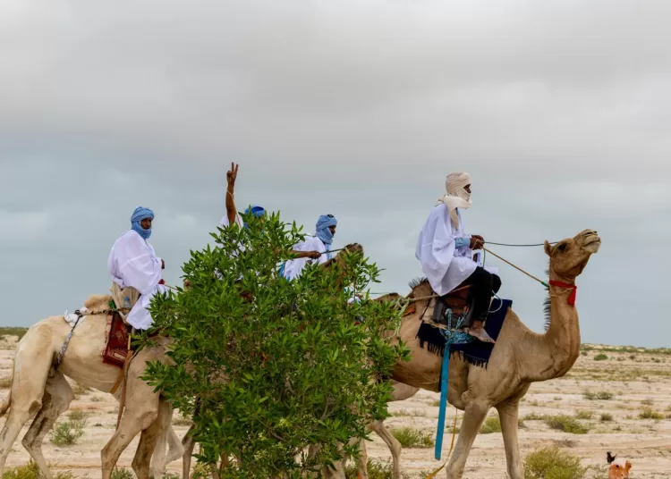 Celebrating World Photography Day 2024: An African snapshot through Canon’s lens 1 - Egyptian Gazette