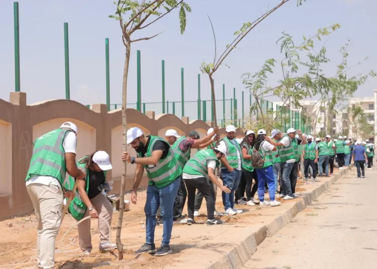 MSD launches “Green Roots” initiative under patronage of Ministry of Environment and in cooperation with EPSF 2 - Egyptian Gazette MSD launches “Green Roots” initiative under patronage of Ministry of Environment and in cooperation with EPSF 1 - Egyptian Gazette
