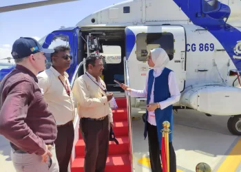 Egypt International Airshow 2024 draws praise, support