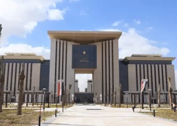 Egypt addresses UNSC on GERD