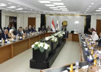 Egypt keen on boosting drug production to meet local demands – Minister