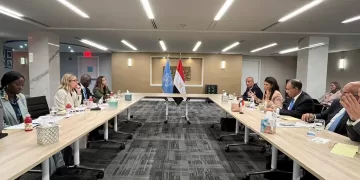 Planning min. launches INFF Strategy in Egypt