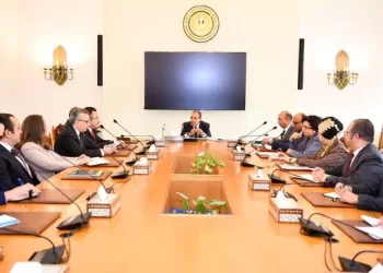 FM says Africa “strategic depth of Egypt’s national security”