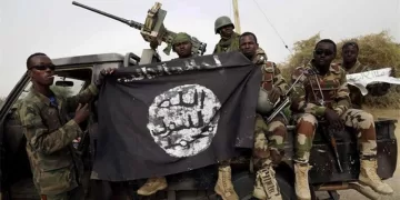 Egypt condemns terrorist attack on Yobe state in Nigeria