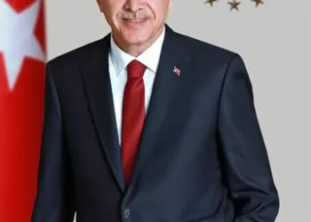 Egypt, Türkiye shape history of humanity: Erdogan