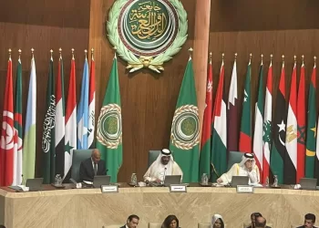Meeting of 114th session of AL’s Economic and Social Council kicks off