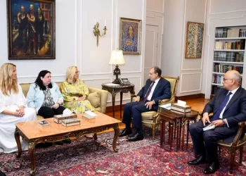 FM probes with UN diplomat humanitarian condition in Gaza