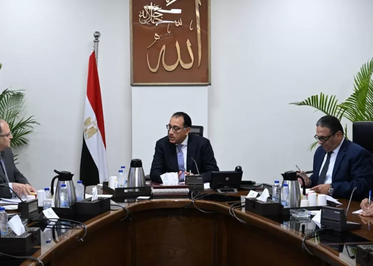PM highlights efforts to secure drugs throughout past months 1 - Egyptian Gazette