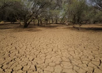 45% of lands in Africa affected by desertification, drought, official in Côte d’Ivoire says