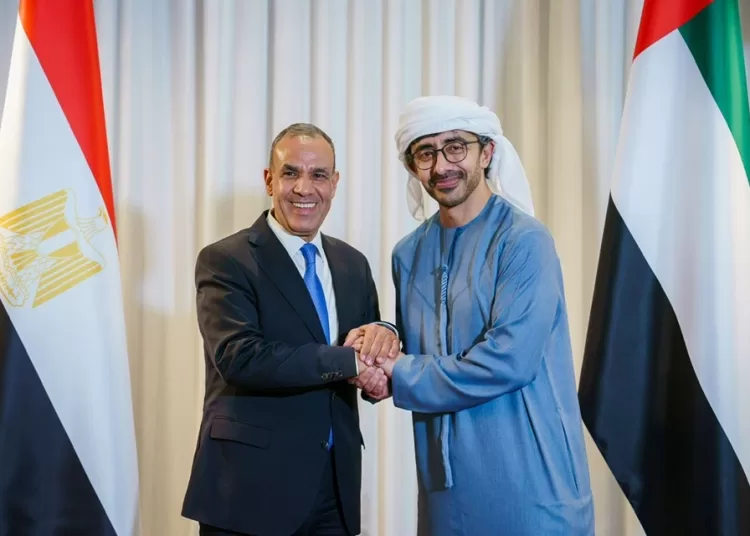 FM: Egypt appreciates growing ties with UAE 1 - Egyptian Gazette