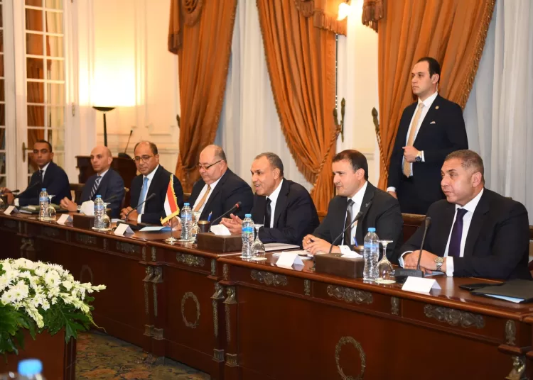 FM, Danish counterpart discuss bilateral relations, regional situation 1 - Egyptian Gazette