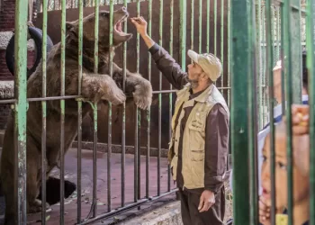 Giza, Johannesburg zoos ink deal on biobanking