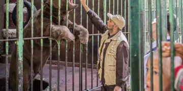 Giza, Johannesburg zoos ink deal on biobanking