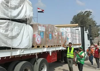 ‘Egypt committed to increasing entry of humanitarian aid to Gaza Strip’