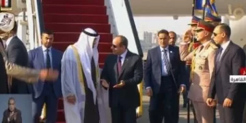 Sisi welcomes UAE president at Cairo airport