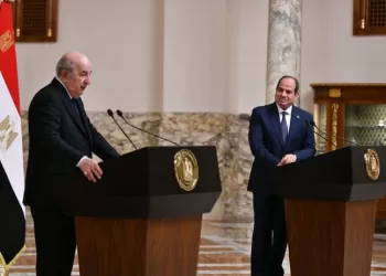 President: Egypt sought in last few days to forward initiative for ceasefire in Gaza, earliest delivery of humanitarian aid