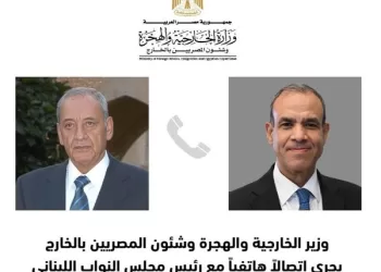 FM asserts Egypt’s solidarity with Lebanon in current critical circumstances