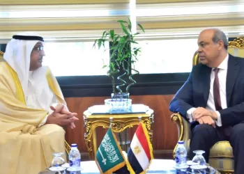 Egypt, Saudi Arabia discuss boosting cooperation in field of civil aviation