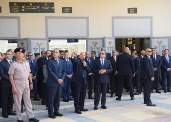 Sisi: State had no choice but to pursue radical development of railway system