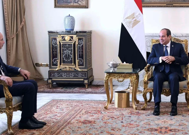 Sisi, Jordanian FM confer on joint efforts to achieve calm in region 1 - Egyptian Gazette