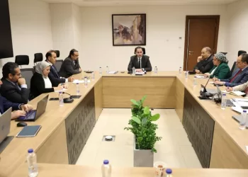 Egypt, UNDP discuss means to improve health sector performance