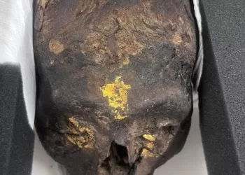 Egypt retrieves 3 artifacts from Germany