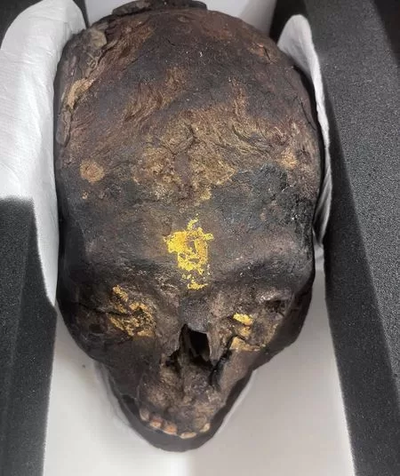 Egypt retrieves 3 artifacts from Germany 1 - Egyptian Gazette