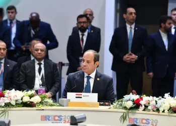 Sisi praises efforts exerted by Russia’s BRICS presidency this year