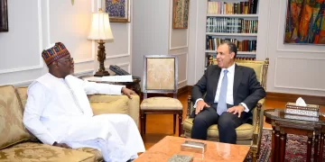 FM voiced Egypt's support for Niger to defeat terrorism 1 - Egyptian Gazette FM voiced Egypt’s support for Niger to defeat terrorism
