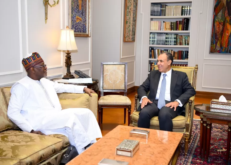 FM voiced Egypt's support for Niger to defeat terrorism 1 - Egyptian Gazette