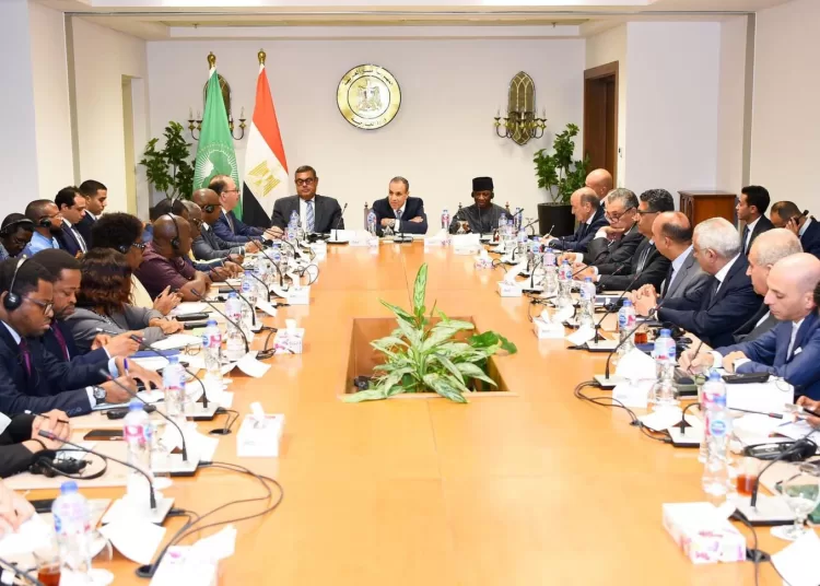 Egypt-chaired PSC concludes field mission to Cairo, Port Sudan 1 - Egyptian Gazette