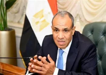 FM says Egypt achieved great successes in countering illegal migration