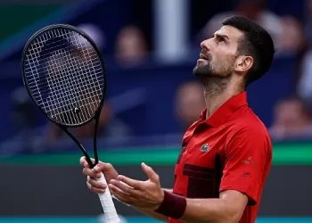 Djokovic plans to play next season