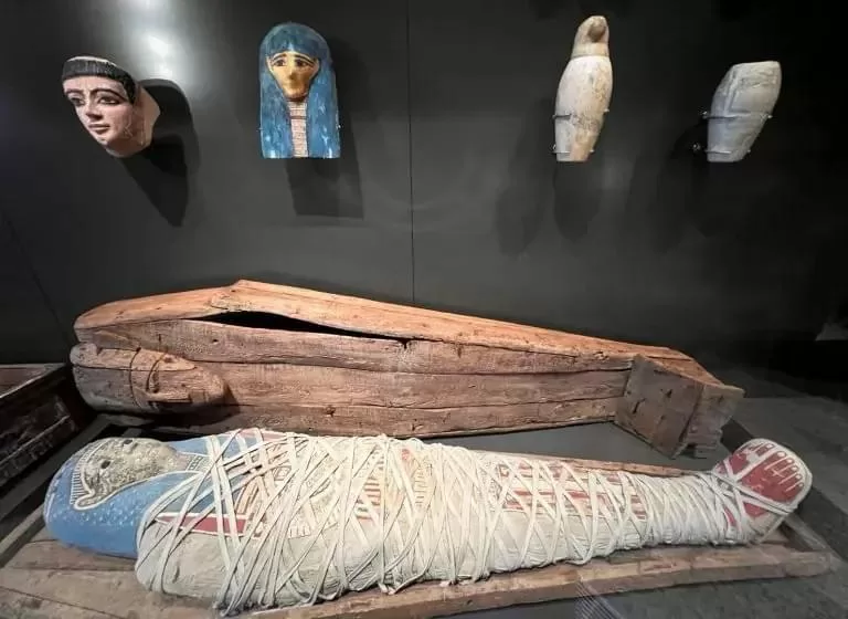 In photos: Trial run throws light on Grand Egyptian Museum's hidden treasures 25 - Egyptian Gazette