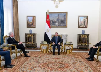 Sisi receives CIA chief