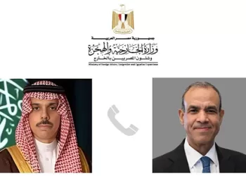 Egyptian, Saudi FMs discuss Israeli aggression in ME region