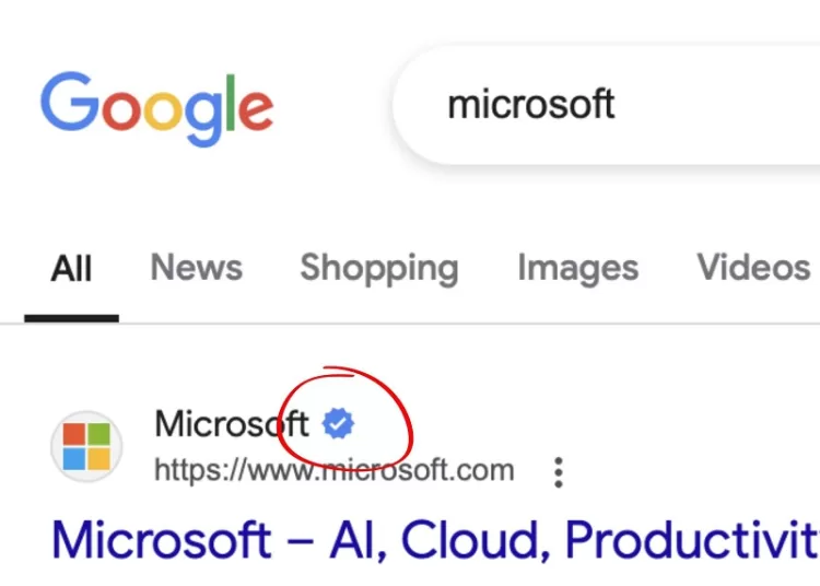 Google tests verified check marks in search results 1 - Egyptian Gazette