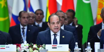 Sisi: Egypt keen on promoting cooperation among developing countries