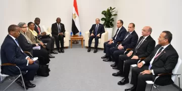Sisi, Ramaphosa urge for maintaining joint efforts to serve interests of African, developing nations