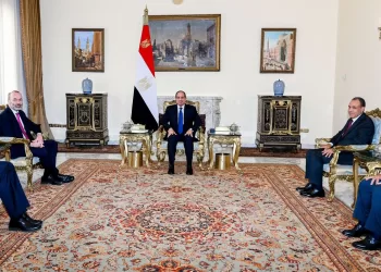 Sisi calls for concerted international efforts to secure ceasefire in Gaza, Lebanon