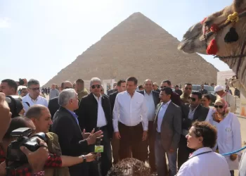 Egypt launches initiative for animal welfare at archaeological sites